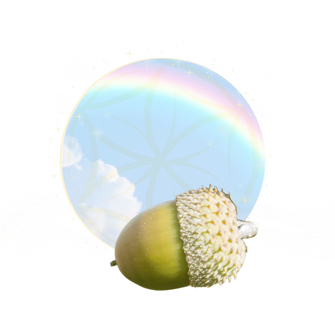possibilities Lucinda Curran, Empowerment Mentor: picture with acorn in foreground, rainbow sky in circle, with sparkles and the flower of life overlaid