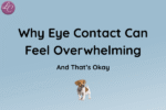 Why Eye Contact Can Feel Overwhelming - LucindaCurran.com